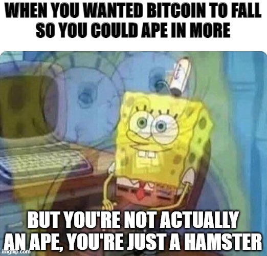 bitcoin crash Jan 5 2022 |  WHEN YOU WANTED BITCOIN TO FALL
SO YOU COULD APE IN MORE; BUT YOU'RE NOT ACTUALLY AN APE, YOU'RE JUST A HAMSTER | image tagged in spongebob screaming inside,btc,cryptocurrency | made w/ Imgflip meme maker