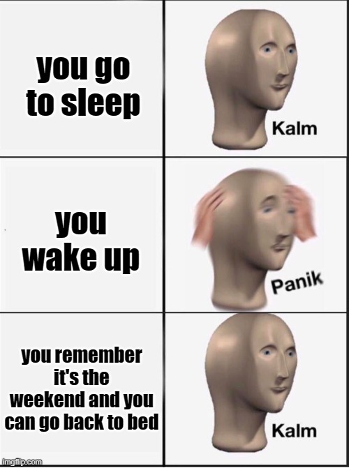 free epazote | you go to sleep; you wake up; you remember it's the weekend and you can go back to bed | image tagged in reverse kalm panik | made w/ Imgflip meme maker