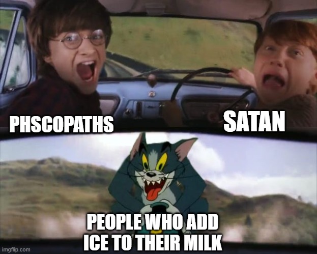 Tom chasing Harry and Ron Weasly | SATAN; PSYCHOPATHS; PEOPLE WHO ADD ICE TO THEIR MILK | image tagged in tom chasing harry and ron weasly | made w/ Imgflip meme maker
