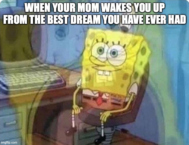 spongebob screaming inside | WHEN YOUR MOM WAKES YOU UP FROM THE BEST DREAM YOU HAVE EVER HAD | image tagged in spongebob screaming inside | made w/ Imgflip meme maker