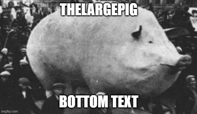 T H E L A R G E P I G . | THELARGEPIG; BOTTOM TEXT | image tagged in fat | made w/ Imgflip meme maker