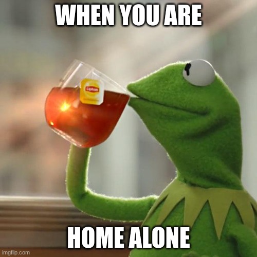 But That's None Of My Business | WHEN YOU ARE; HOME ALONE | image tagged in memes,but that's none of my business,kermit the frog | made w/ Imgflip meme maker