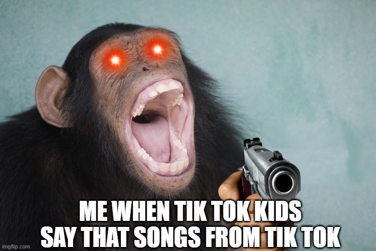 Monke | ME WHEN TIK TOK KIDS SAY THAT SONGS FROM TIK TOK | image tagged in gun | made w/ Imgflip meme maker