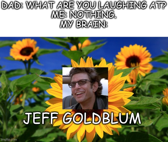 *insert snarky jeff goldblum catch phrase that relates to this* | DAD: WHAT ARE YOU LAUGHING AT?
ME: NOTHING.
MY BRAIN:; JEFF GOLDBLUM | image tagged in happy sunflower,jeff goldblum,teacher what are you laughing at | made w/ Imgflip meme maker