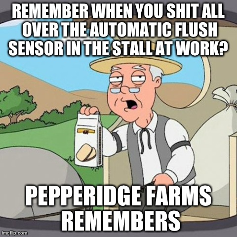 Pepperidge Farm Remembers | REMEMBER WHEN YOU SHIT ALL OVER THE AUTOMATIC FLUSH SENSOR IN THE STALL AT WORK?  PEPPERIDGE FARMS REMEMBERS | image tagged in memes,pepperidge farm remembers | made w/ Imgflip meme maker