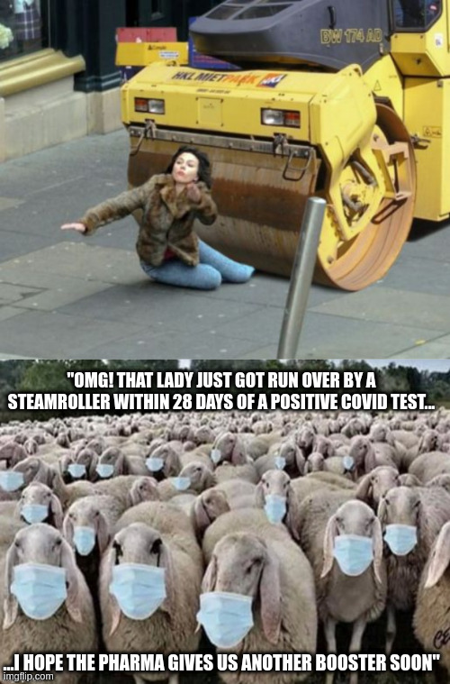Steamroller-19 | "OMG! THAT LADY JUST GOT RUN OVER BY A STEAMROLLER WITHIN 28 DAYS OF A POSITIVE COVID TEST... ...I HOPE THE PHARMA GIVES US ANOTHER BOOSTER SOON" | image tagged in steamroller,sign of the sheeple | made w/ Imgflip meme maker