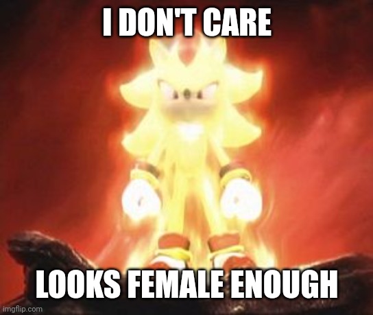 I found a meme like this on twitter | I DON'T CARE; LOOKS FEMALE ENOUGH | image tagged in super shadow | made w/ Imgflip meme maker