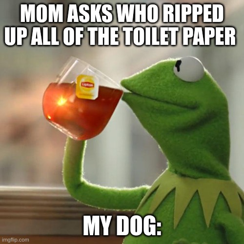 upvote  if this is true to u too | MOM ASKS WHO RIPPED UP ALL OF THE TOILET PAPER; MY DOG: | image tagged in memes,but that's none of my business,kermit the frog | made w/ Imgflip meme maker