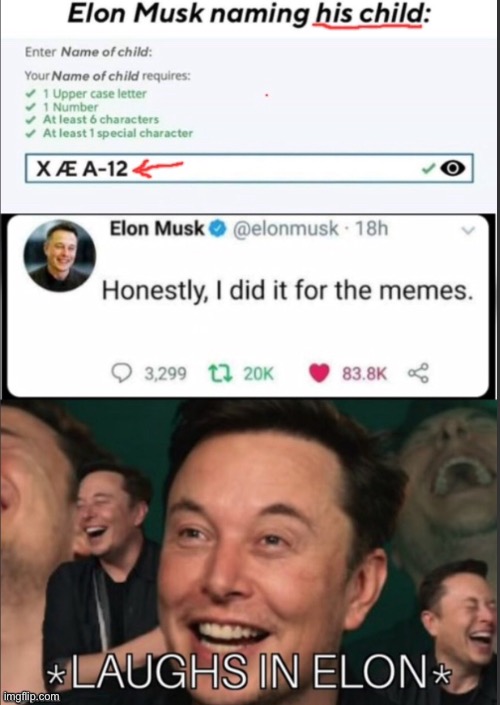 Elon Musk weird af | image tagged in moo | made w/ Imgflip meme maker
