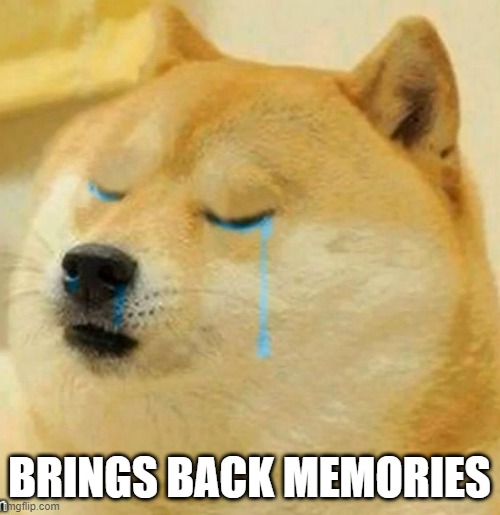 sad doge | BRINGS BACK MEMORIES | image tagged in sad doge | made w/ Imgflip meme maker