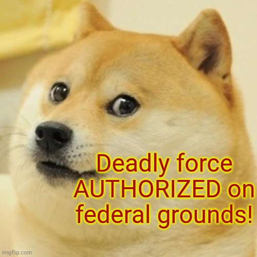Doge Meme | Deadly force AUTHORIZED on federal grounds! | image tagged in memes,doge | made w/ Imgflip meme maker