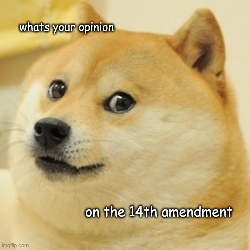Doge | whats your opinion; on the 14th amendment | image tagged in memes,doge | made w/ Imgflip meme maker