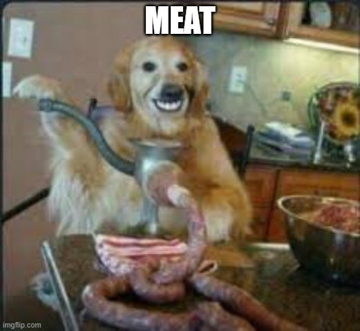 m e a t | MEAT | image tagged in meat dog | made w/ Imgflip meme maker