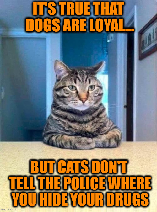 IT'S TRUE THAT
 DOGS ARE LOYAL... BUT CATS DON'T
 TELL THE POLICE WHERE
 YOU HIDE YOUR DRUGS | image tagged in cats | made w/ Imgflip meme maker