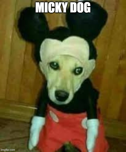 m i c k y d o g | MICKY DOG | image tagged in cursed mickey dog | made w/ Imgflip meme maker