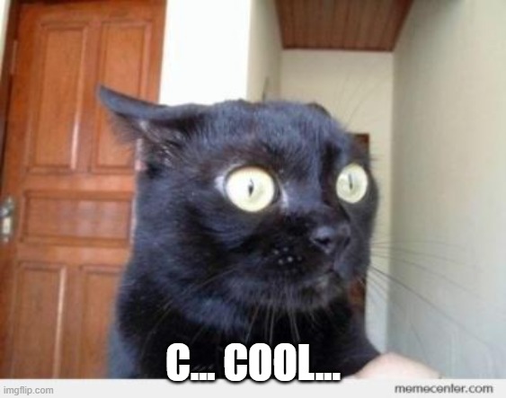 Scared Cat | C... COOL... | image tagged in scared cat | made w/ Imgflip meme maker