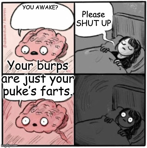 Burps | Please SHUT UP; YOU AWAKE? Your burps are just your puke’s farts. | image tagged in brain before sleep,funny,funny memes,memes,shower thoughts,puke | made w/ Imgflip meme maker