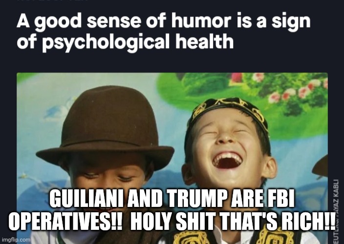 Sense of humor | GUILIANI AND TRUMP ARE FBI OPERATIVES!!  HOLY SHIT THAT'S RICH!! | image tagged in sense of humor | made w/ Imgflip meme maker