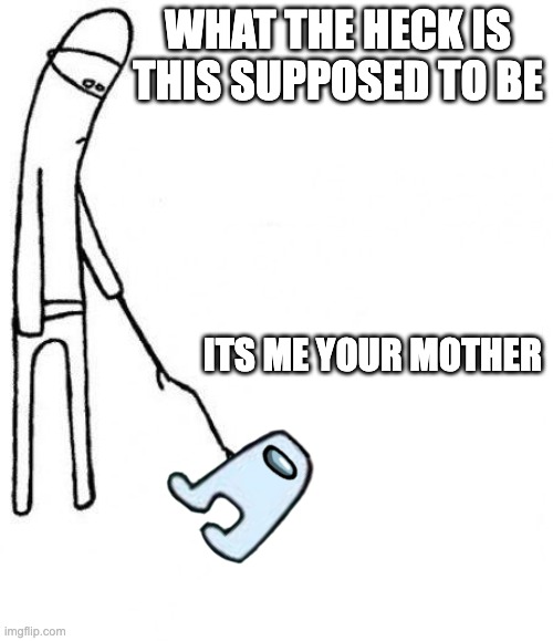 c'mon do something | WHAT THE HECK IS THIS SUPPOSED TO BE; ITS ME YOUR MOTHER | image tagged in c'mon do something | made w/ Imgflip meme maker