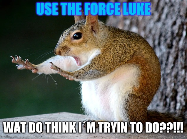 Use the force | USE THE FORCE LUKE; WAT DO THINK I´M TRYIN TO DO??!!! | image tagged in animals,funny | made w/ Imgflip meme maker