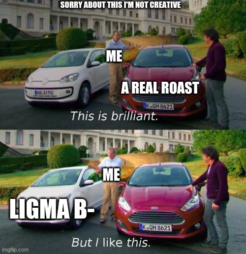 This Is Brilliant But I Like This |  SORRY ABOUT THIS I'M NOT CREATIVE; ME; A REAL ROAST; ME; LIGMA B- | image tagged in this is brilliant but i like this | made w/ Imgflip meme maker