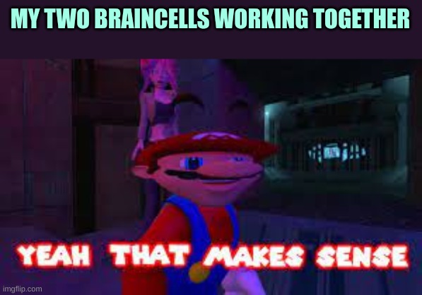 yeah that makes sense | MY TWO BRAINCELLS WORKING TOGETHER | image tagged in yeah that makes sense | made w/ Imgflip meme maker