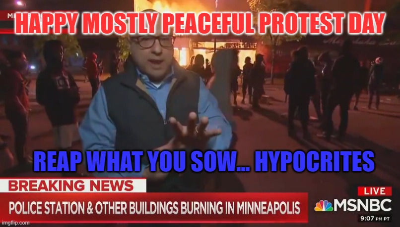 MSNBC Peaceful Protest | HAPPY MOSTLY PEACEFUL PROTEST DAY; REAP WHAT YOU SOW... HYPOCRITES | image tagged in msnbc peaceful protest | made w/ Imgflip meme maker