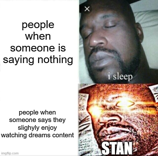 people when someone is saying nothing people when someone says they slighyly enjoy watching dreams content STAN | image tagged in memes,sleeping shaq | made w/ Imgflip meme maker