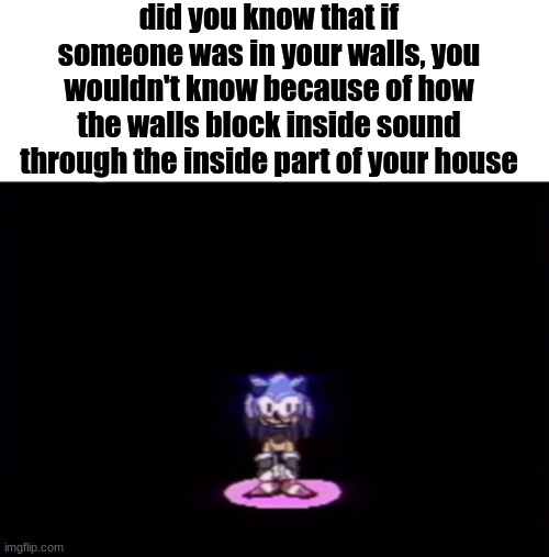 needlemouse stare | did you know that if someone was in your walls, you wouldn't know because of how the walls block inside sound through the inside part of your house | image tagged in needlemouse stare | made w/ Imgflip meme maker