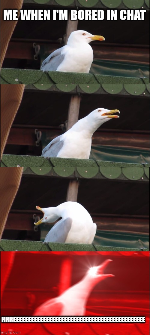 REEEEE | ME WHEN I'M BORED IN CHAT; RRREEEEEEEEEEEEEEEEEEEEEEEEEEEEEEEEEEEEEEEEEEEE | image tagged in memes,inhaling seagull,funny | made w/ Imgflip meme maker