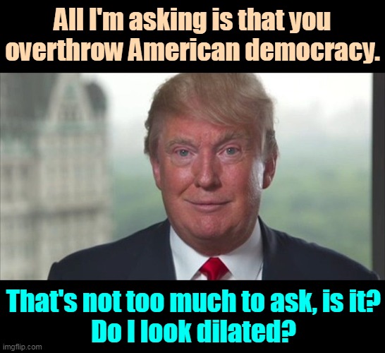 On the pills again. | All I'm asking is that you overthrow American democracy. That's not too much to ask, is it?
Do I look dilated? | image tagged in trump dilated,trump,kills,american,democracy | made w/ Imgflip meme maker