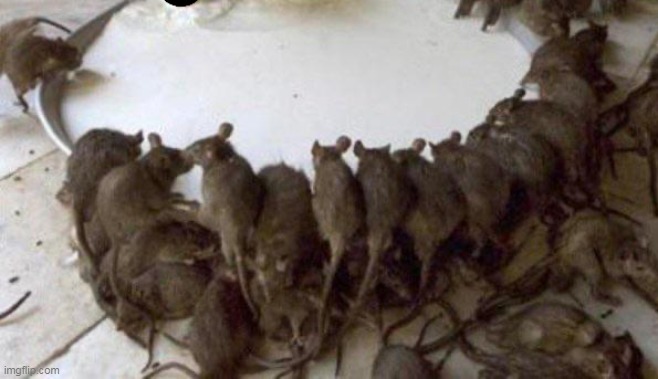 msmg pisser group | made w/ Imgflip meme maker