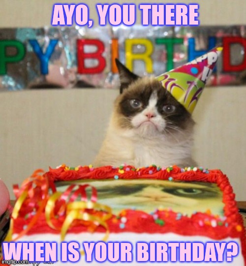 yes, I'm talking to ALL of you | AYO, YOU THERE; WHEN IS YOUR BIRTHDAY? | image tagged in memes,grumpy cat birthday,grumpy cat | made w/ Imgflip meme maker