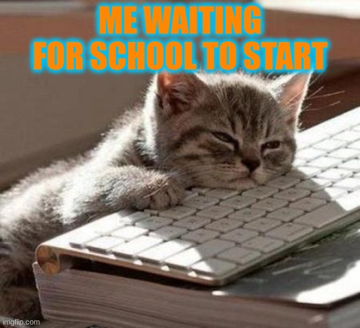 Back To School | ME WAITING FOR SCHOOL TO START | image tagged in tired cat | made w/ Imgflip meme maker
