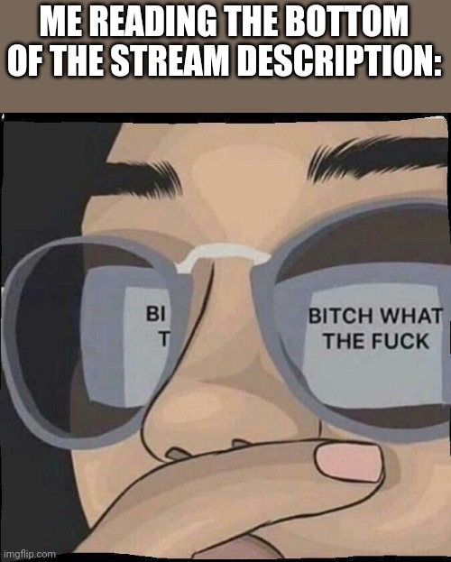 Wtf | ME READING THE BOTTOM OF THE STREAM DESCRIPTION: | image tagged in wtf | made w/ Imgflip meme maker