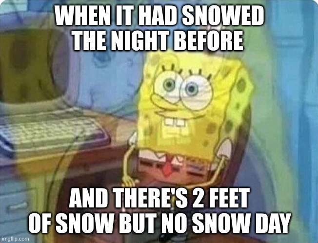 rip | WHEN IT HAD SNOWED THE NIGHT BEFORE; AND THERE'S 2 FEET OF SNOW BUT NO SNOW DAY | image tagged in spongebob screaming inside | made w/ Imgflip meme maker