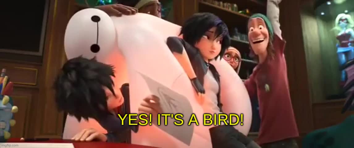 YES! IT'S A BIRD! | made w/ Imgflip meme maker