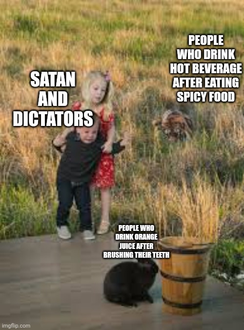 Mate you crazy? |  PEOPLE WHO DRINK HOT BEVERAGE AFTER EATING SPICY FOOD; SATAN AND DICTATORS; PEOPLE WHO DRINK ORANGE JUICE AFTER BRUSHING THEIR TEETH | image tagged in tiger | made w/ Imgflip meme maker