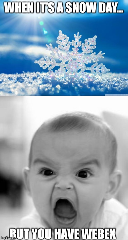 AUUUUUUGGGGHHHHHHHH | WHEN IT’S A SNOW DAY…; BUT YOU HAVE WEBEX | image tagged in snowflake,memes,angry baby | made w/ Imgflip meme maker