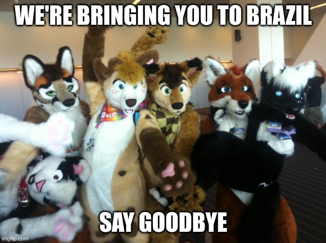 the furries are coming for you,hide | WE'RE BRINGING YOU TO BRAZIL; SAY GOODBYE | image tagged in furries,furry bring you to brazil | made w/ Imgflip meme maker