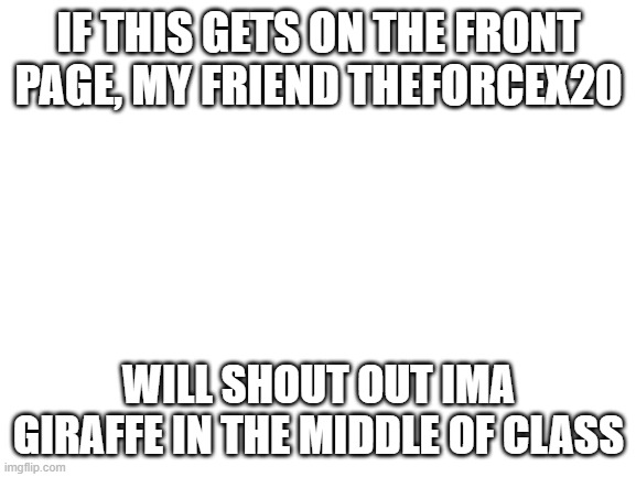 Blank White Template | IF THIS GETS ON THE FRONT PAGE, MY FRIEND THEFORCEX20; WILL SHOUT OUT IMA GIRAFFE IN THE MIDDLE OF CLASS | image tagged in blank white template,memes,i am a giraffe,front page plz | made w/ Imgflip meme maker