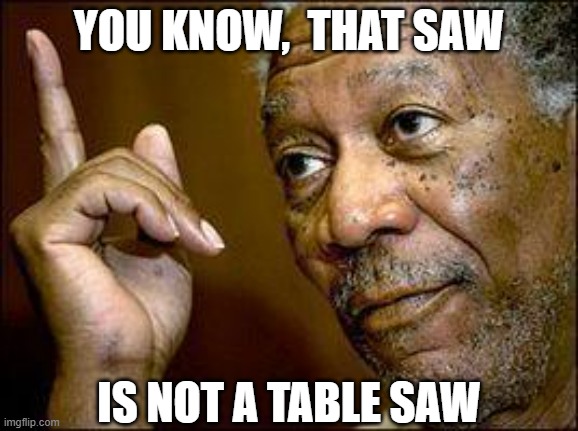 He's Right You Know | YOU KNOW,  THAT SAW IS NOT A TABLE SAW | image tagged in he's right you know | made w/ Imgflip meme maker