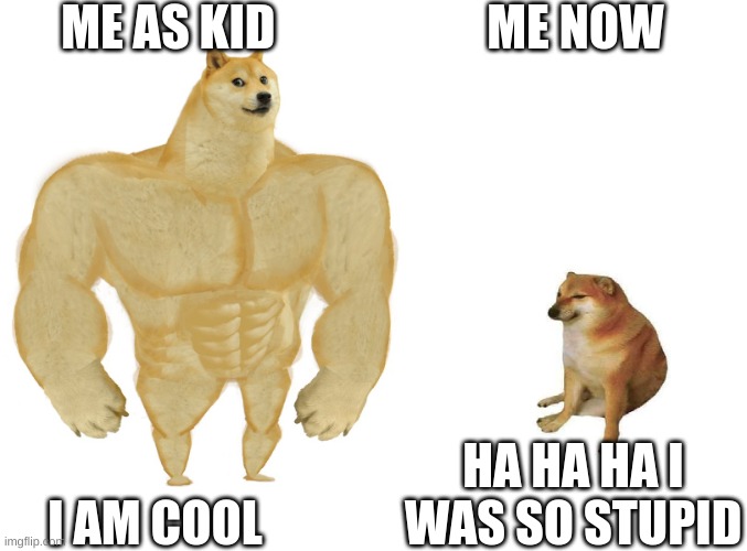 Big dog small dog | ME AS KID; ME NOW; HA HA HA I WAS SO STUPID; I AM COOL | image tagged in big dog small dog | made w/ Imgflip meme maker