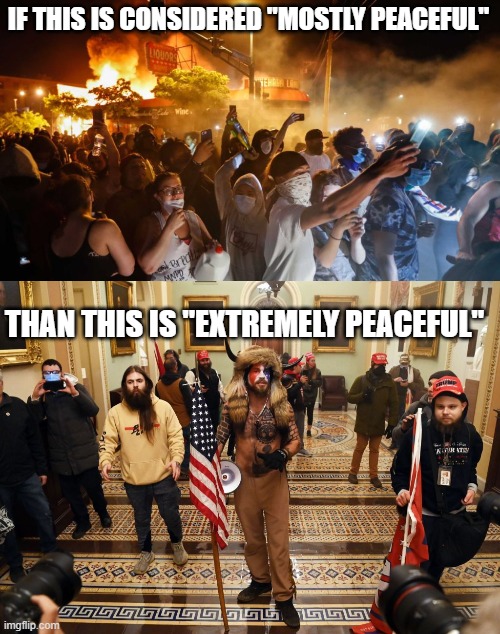 IF THIS IS CONSIDERED "MOSTLY PEACEFUL"; THAN THIS IS "EXTREMELY PEACEFUL" | image tagged in riotersnodistancing,capitol buffalo guy | made w/ Imgflip meme maker