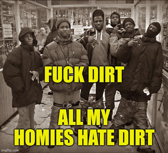 All My Homies Hate | FUCK DIRT ALL MY HOMIES HATE DIRT | image tagged in all my homies hate | made w/ Imgflip meme maker