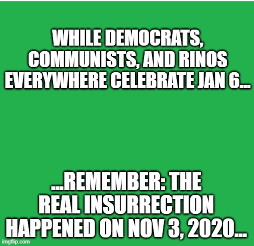 Green Screen | WHILE DEMOCRATS, COMMUNISTS, AND RINOS EVERYWHERE CELEBRATE JAN 6... ...REMEMBER: THE REAL INSURRECTION HAPPENED ON NOV 3, 2020... | image tagged in green screen | made w/ Imgflip meme maker