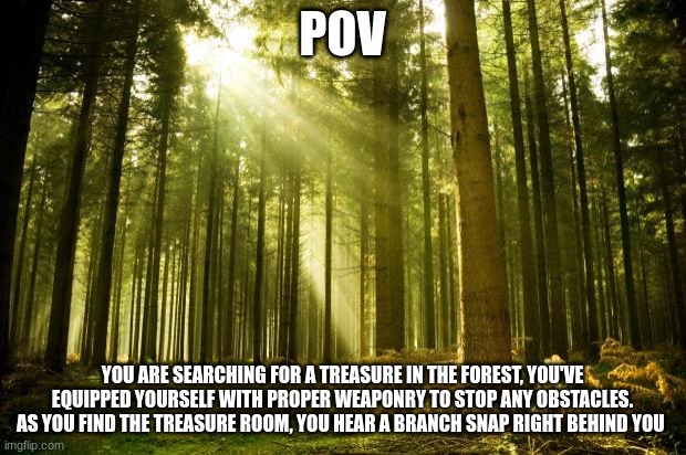 sunlit forest | POV; YOU ARE SEARCHING FOR A TREASURE IN THE FOREST, YOU'VE EQUIPPED YOURSELF WITH PROPER WEAPONRY TO STOP ANY OBSTACLES. AS YOU FIND THE TREASURE ROOM, YOU HEAR A BRANCH SNAP RIGHT BEHIND YOU | image tagged in sunlit forest | made w/ Imgflip meme maker