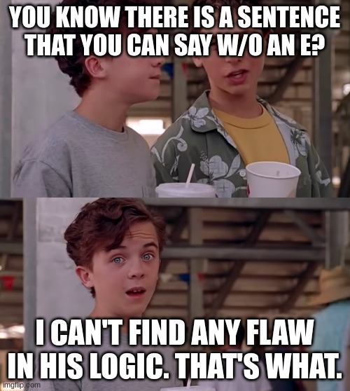 Wow, I Can't Find A Flaw In His Logic | YOU KNOW THERE IS A SENTENCE THAT YOU CAN SAY W/O AN E? I CAN'T FIND ANY FLAW IN HIS LOGIC. THAT'S WHAT. | image tagged in wow i can't find a flaw in his logic | made w/ Imgflip meme maker