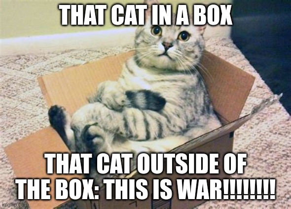 dat cat in da box | THAT CAT IN A BOX; THAT CAT OUTSIDE OF THE BOX: THIS IS WAR!!!!!!!! | image tagged in comfy cat,lolcats | made w/ Imgflip meme maker