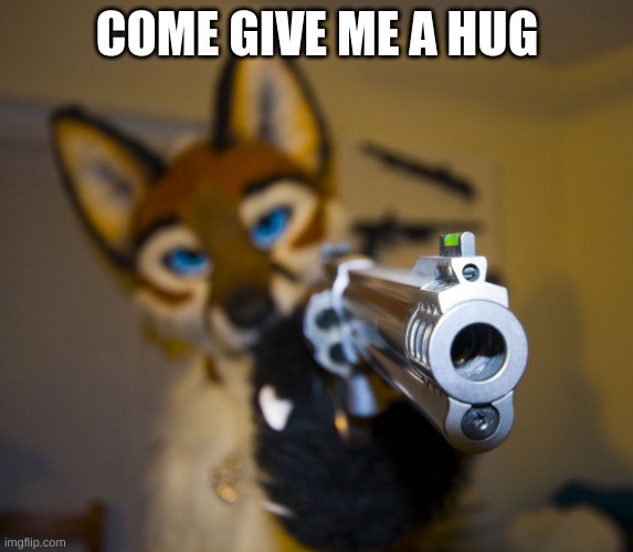 Run | COME GIVE ME A HUG | image tagged in furry with gun | made w/ Imgflip meme maker